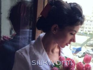 Silkworm