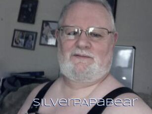 SilverPApaBear