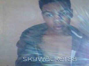 SkyWalker88