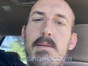 Snakec2018