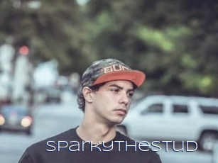 SparkyTheStud