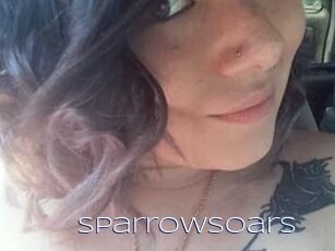 SparrowSoars