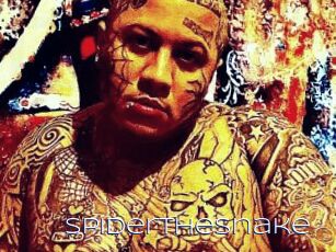 SpiderTheSnake