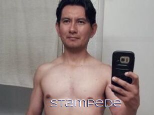 Stampede