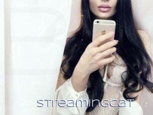Streamingcat