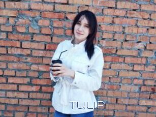 Tulip