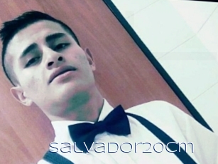 Salvador20cm