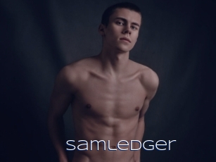 Samledger