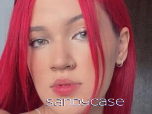 Sandycase