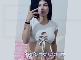 Sashagate