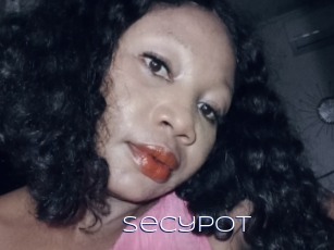 Secypot