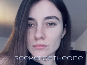 Seekeroftheone