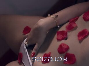 Seizajoy