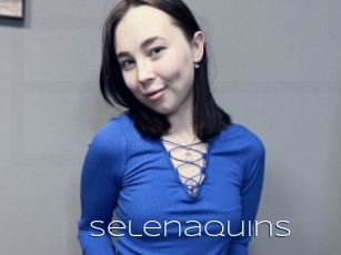 Selenaquins