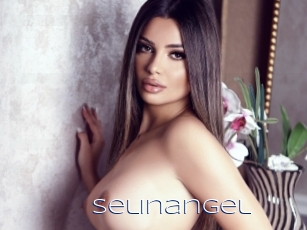 Selinangel