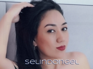 Selindongel