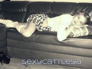 sexycattleya Blue Hot