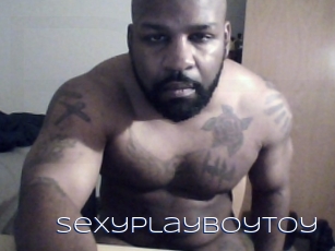 Sexyplayboytoy