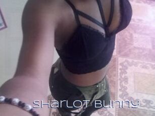 Sharlot_bunny