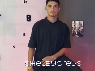 Shelbygreys