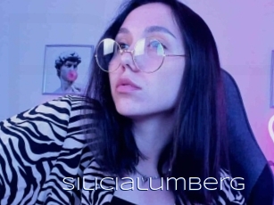 Silicialumberg