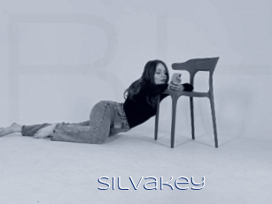 Silvakey