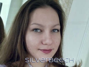 Silverbeech