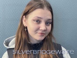 Silverbridgewate