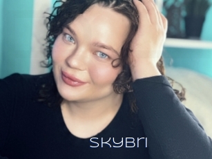 Skybri