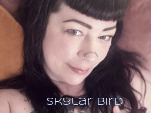 Skylar_bird