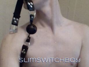 Slimswitchboy