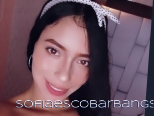 Sofiaescobarbangs