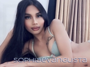 Sophiaevanglista