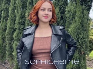 Sophicherrie