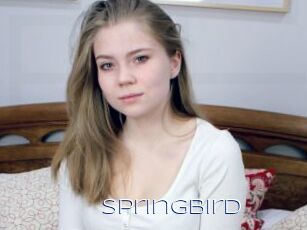 Springbird