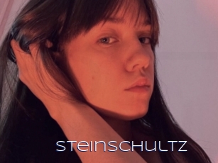 Steinschultz