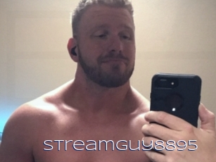 Streamguy8895