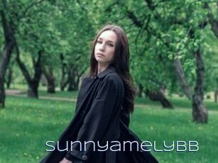 Sunnyamelybb