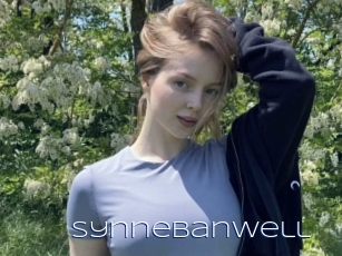 Synnebanwell