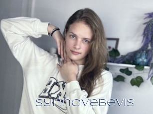 Synnovebevis