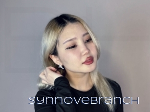 Synnovebranch