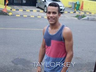 TAYLOR_KEY Blue Hot