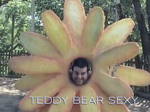 TEDDY_BEAR_SEXY