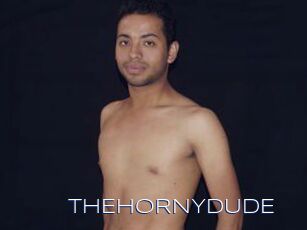 THEHORNYDUDE