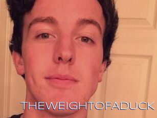 THEWEIGHTOFADUCK