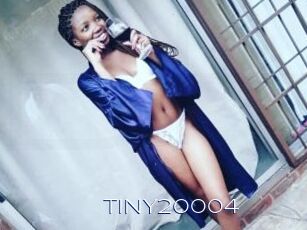 TINY20004