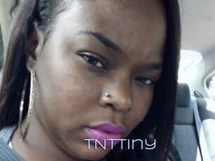 T_N_Ttiny