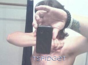 TSFidget