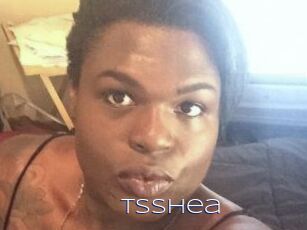 TS_Shea