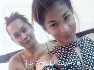 TS_WILD_SLAVE